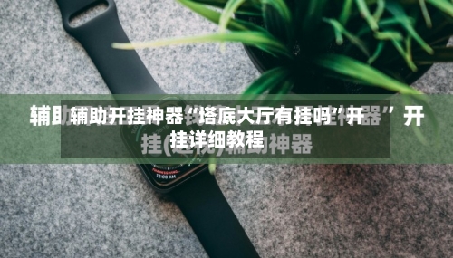 辅助开挂神器“塔底大厅有挂吗”开挂详细教程-第1张图片