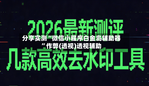 分享实测“微信小程序白金岛辅助器”作弊(透视)透视辅助-第2张图片