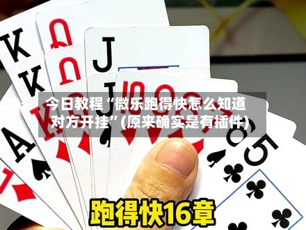 今日教程“微乐跑得快怎么知道对方开挂	”(原来确实是有插件)-第2张图片