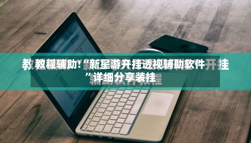 教程辅助!“新星游开挂透视辅助软件”详细分享装挂-第1张图片