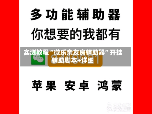 实测教程“微乐亲友房辅助器”开挂辅助脚本+详细-第3张图片