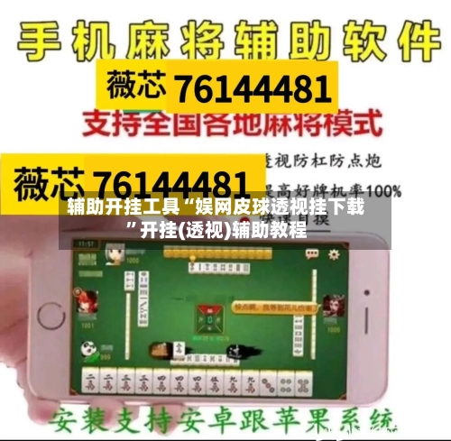 辅助开挂工具“娱网皮球透视挂下载”开挂(透视)辅助教程-第2张图片