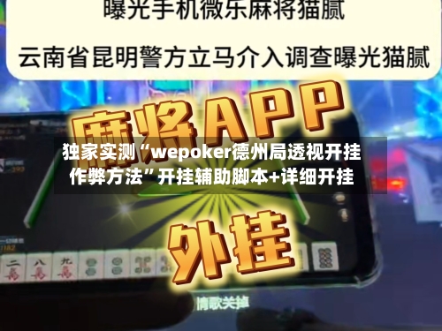 独家实测“wepoker德州局透视开挂作弊方法”开挂辅助脚本+详细开挂-第2张图片