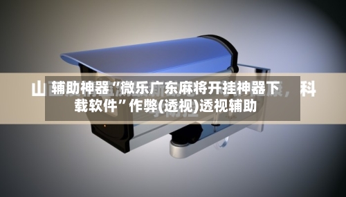 辅助神器“微乐广东麻将开挂神器下载软件	”作弊(透视)透视辅助-第2张图片