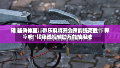 辅助神器：微乐麻将开会员能提高胜率吗”揭秘透视辅助万能挂用法-第2张图片