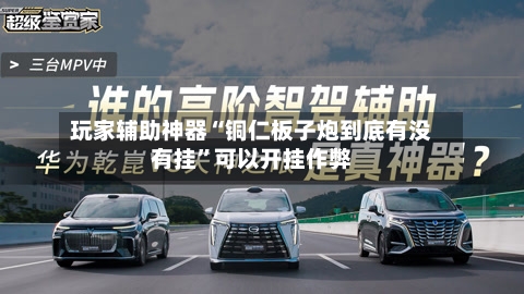 玩家辅助神器“铜仁板子炮到底有没有挂”可以开挂作弊-第2张图片