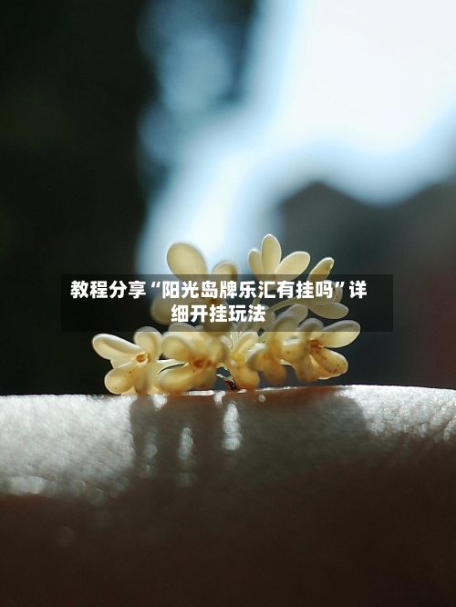 教程分享“阳光岛牌乐汇有挂吗	”详细开挂玩法-第1张图片