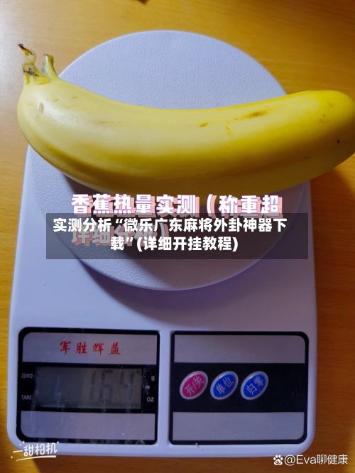 实测分析“微乐广东麻将外卦神器下载”(详细开挂教程)-第3张图片