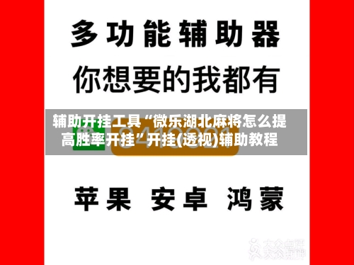 辅助开挂工具“微乐湖北麻将怎么提高胜率开挂	”开挂(透视)辅助教程-第2张图片