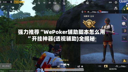 强力推荐“WePoker辅助脚本怎么用	”开挂神器{透视辅助}全揭秘-第3张图片
