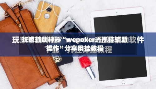 玩家辅助神器“wepoker透视挂辅助操作	”分享用挂教程-第3张图片
