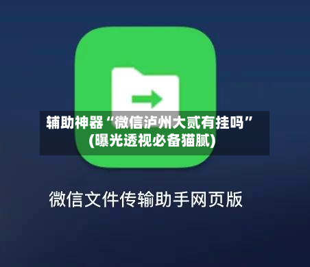 辅助神器“微信泸州大贰有挂吗	”(曝光透视必备猫腻)-第2张图片