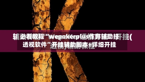 必看教程“wepokerplus作弊辅助挂透视软件”开挂辅助脚本+详细开挂-第1张图片