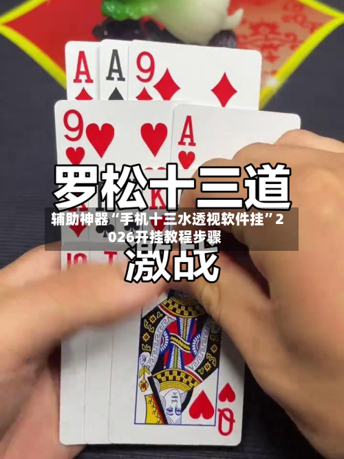 辅助神器“手机十三水透视软件挂”2026开挂教程步骤-第1张图片