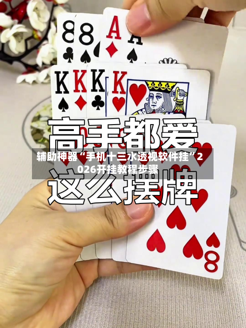 辅助神器“手机十三水透视软件挂”2026开挂教程步骤-第2张图片