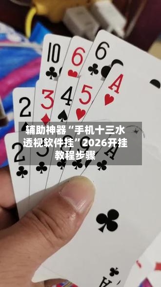 辅助神器“手机十三水透视软件挂	”2026开挂教程步骤-第3张图片