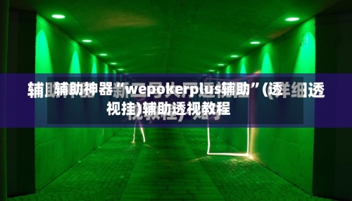 辅助神器“wepokerplus辅助	”(透视挂)辅助透视教程-第2张图片