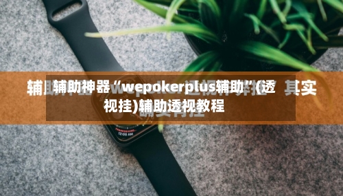 辅助神器“wepokerplus辅助”(透视挂)辅助透视教程-第3张图片