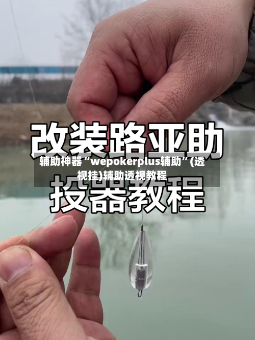 辅助神器“wepokerplus辅助”(透视挂)辅助透视教程-第1张图片