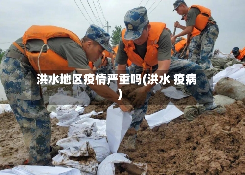 洪水地区疫情严重吗(洪水 疫病)-第1张图片