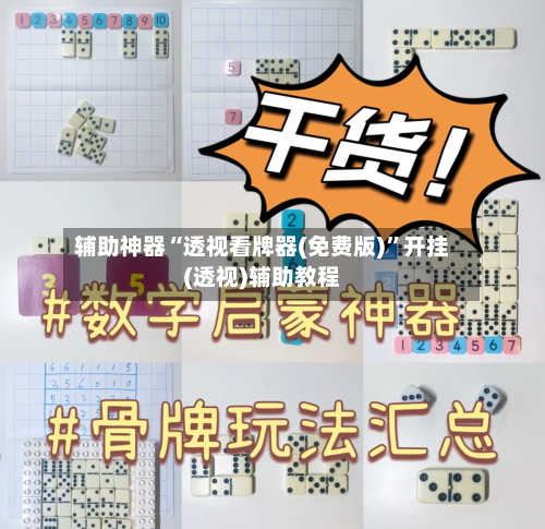 辅助神器“透视看牌器(免费版)”开挂(透视)辅助教程-第1张图片