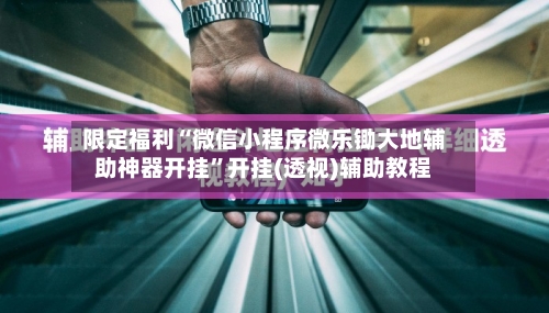 限定福利“微信小程序微乐锄大地辅助神器开挂	”开挂(透视)辅助教程-第2张图片