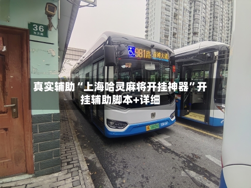 真实辅助“上海哈灵麻将开挂神器”开挂辅助脚本+详细-第1张图片