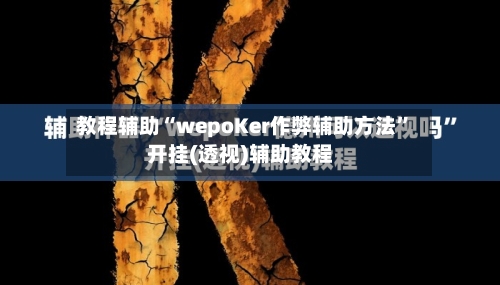 教程辅助“wepoKer作弊辅助方法	”开挂(透视)辅助教程-第2张图片