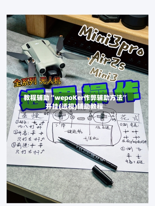 教程辅助“wepoKer作弊辅助方法”开挂(透视)辅助教程-第3张图片