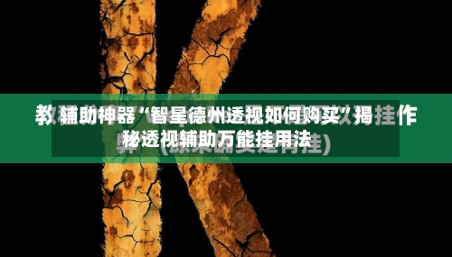 辅助神器“智星德州透视如何购买”揭秘透视辅助万能挂用法-第1张图片