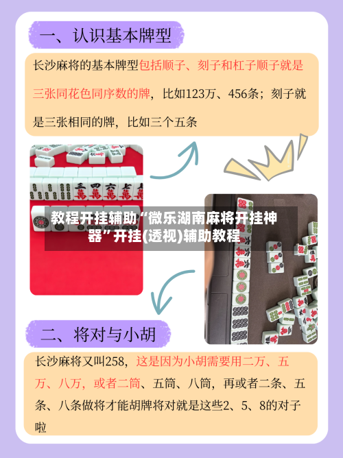 教程开挂辅助“微乐湖南麻将开挂神器”开挂(透视)辅助教程-第2张图片