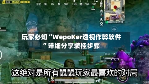 玩家必知“WepoKer透视作弊软件	”详细分享装挂步骤-第2张图片