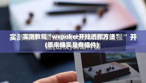 实测教程“wepoker开挂透视方法	”(原来确实是有插件)-第2张图片