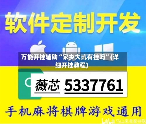 万能开挂辅助“家乡大贰有挂吗”(详细开挂教程)-第2张图片