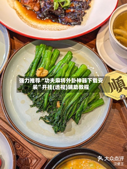 强力推荐“功夫麻将外卦神器下载安装	”开挂(透视)辅助教程-第3张图片