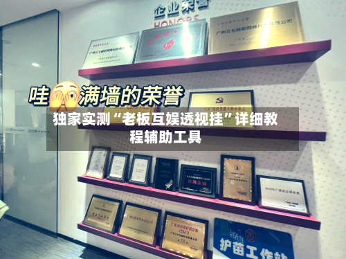 独家实测“老板互娱透视挂”详细教程辅助工具-第3张图片