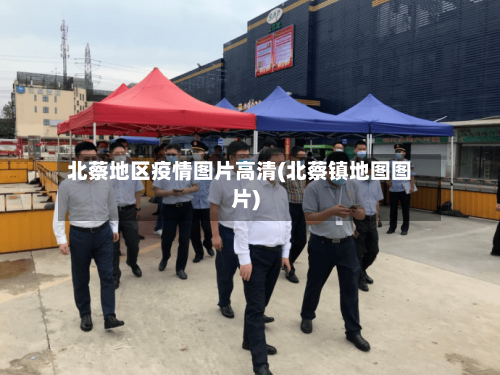 北蔡地区疫情图片高清(北蔡镇地图图片)-第2张图片