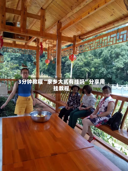 3分钟教程“家乡大贰有挂吗”分享用挂教程-第1张图片