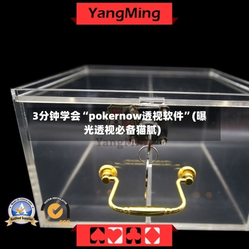 3分钟学会“pokernow透视软件”(曝光透视必备猫腻)-第1张图片