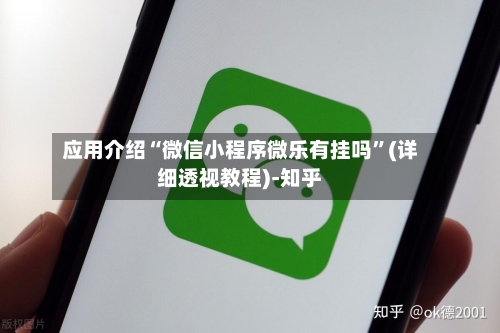 应用介绍“微信小程序微乐有挂吗	”(详细透视教程)-知乎-第2张图片