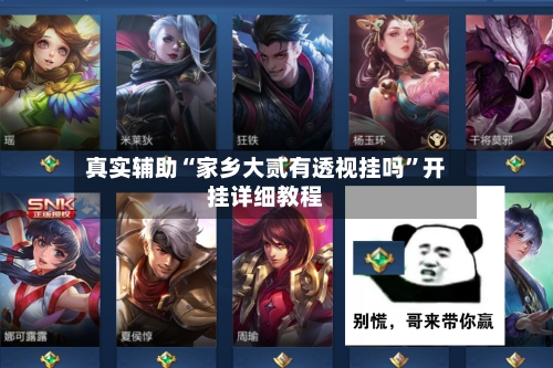 真实辅助“家乡大贰有透视挂吗”开挂详细教程-第1张图片