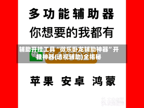 辅助开挂工具“微乐卧龙辅助神器”开挂神器{透视辅助}全揭秘-第3张图片