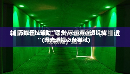 万能开挂辅助“德州wepoker透视挂”(曝光透视必备猫腻)-第1张图片