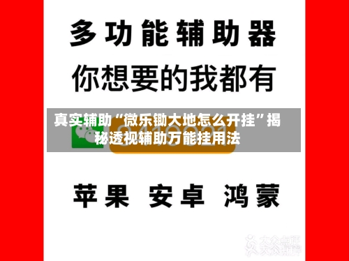 真实辅助“微乐锄大地怎么开挂”揭秘透视辅助万能挂用法-第2张图片