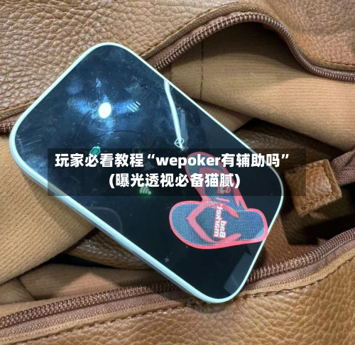 玩家必看教程“wepoker有辅助吗”(曝光透视必备猫腻)-第2张图片