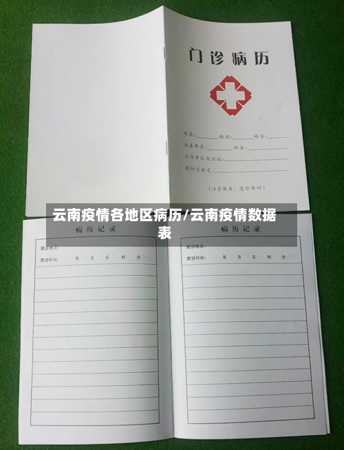 云南疫情各地区病历/云南疫情数据表-第1张图片