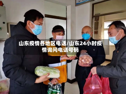 山东疫情各地区电话/山东24小时疫情询问电话号码-第1张图片