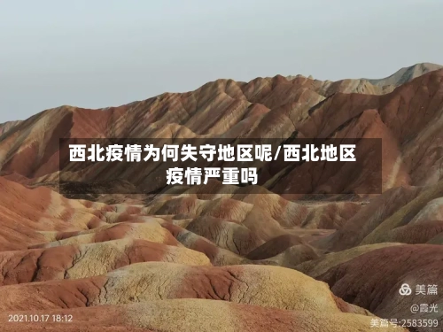 西北疫情为何失守地区呢/西北地区疫情严重吗-第1张图片