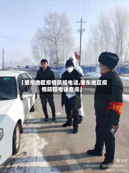 【肇东地区疫情防控电话,肇东地区疫情防控电话查询】-第1张图片
