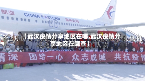 【武汉疫情分享地区在哪,武汉疫情分享地区在哪查】-第2张图片